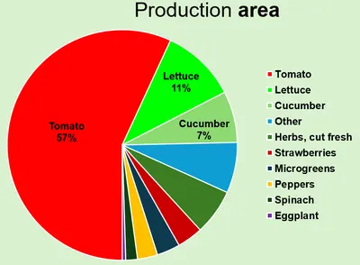 A pie chart showing the largest crops by area grown under protection in the United States in 2024.