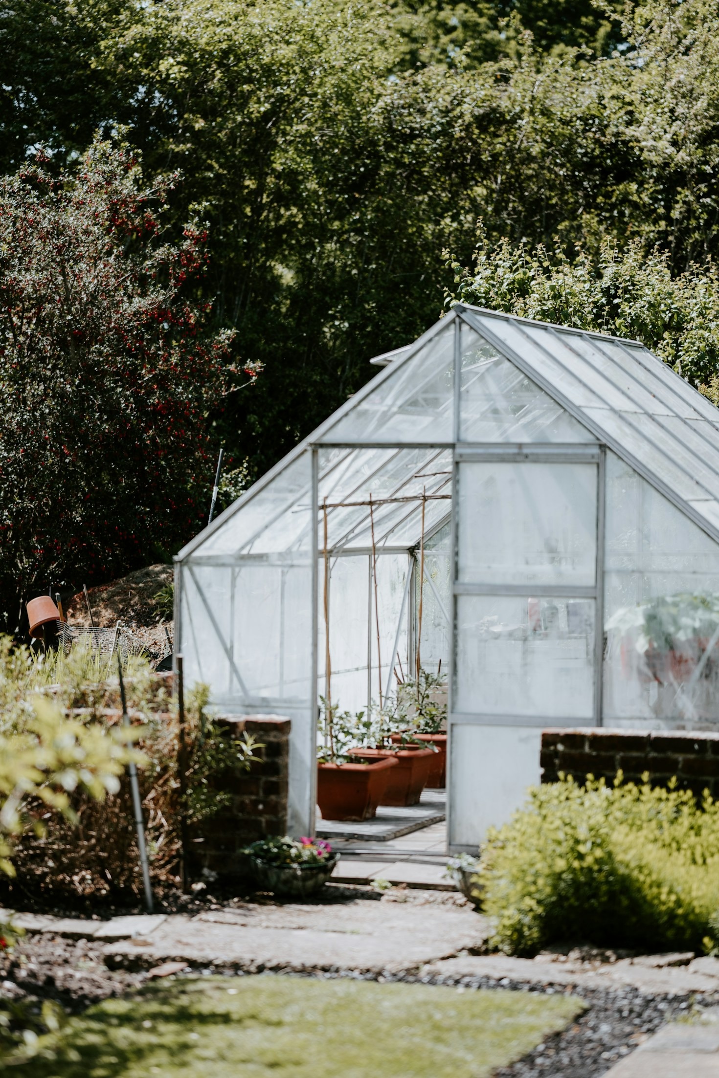 The Role of Collaboration in Greenhouse Innovation