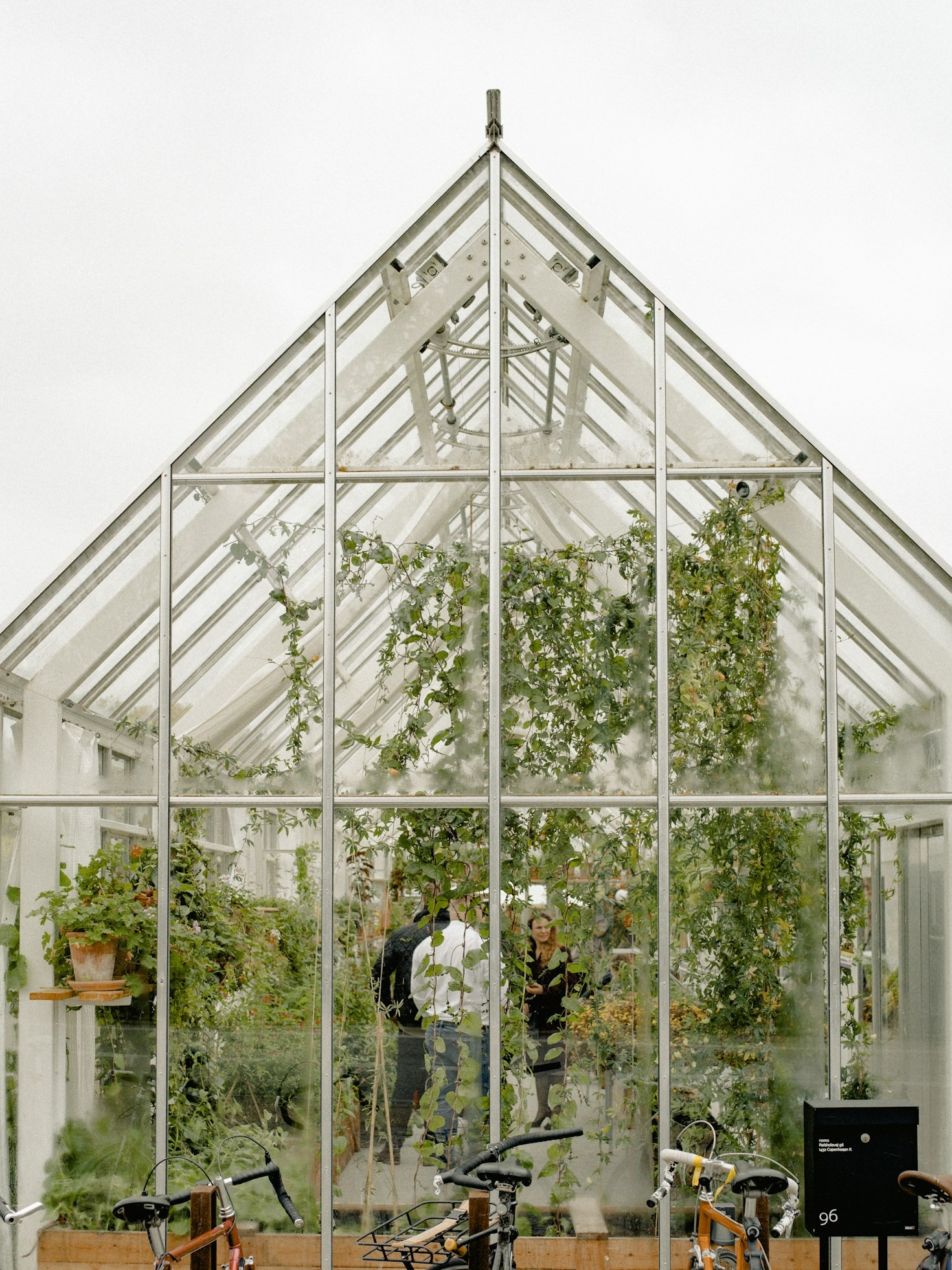 Why Networking Matters for Greenhouse Growers